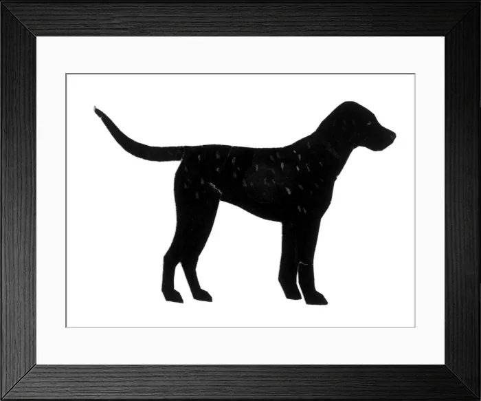 Framed Print : Silhouette of a labrador Framed Print : Silhouette of a labrador