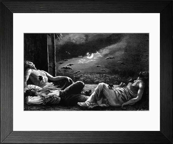 Framed Print : Vampire bats attack sleepers Framed Print : Vampire bats attack sleepers