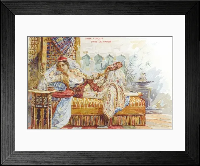 Framed Print : Exotic Turkish Woman of the Harem Framed Print : Exotic Turkish Woman of the Harem