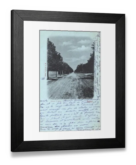 Framed Print : Iasi, Romania - Aleea Copou Framed Print : Iasi, Romania - Aleea Copou