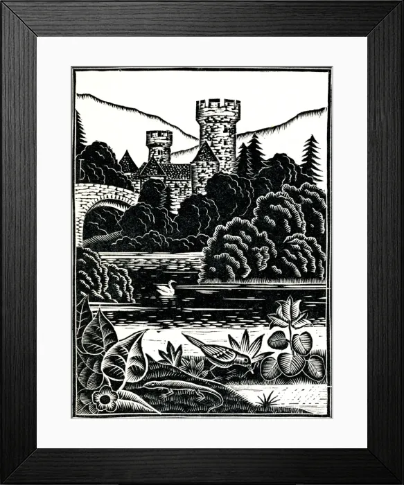 Framed Print : A swan glides elegantly along a river Framed Print : A swan glides elegantly along a river