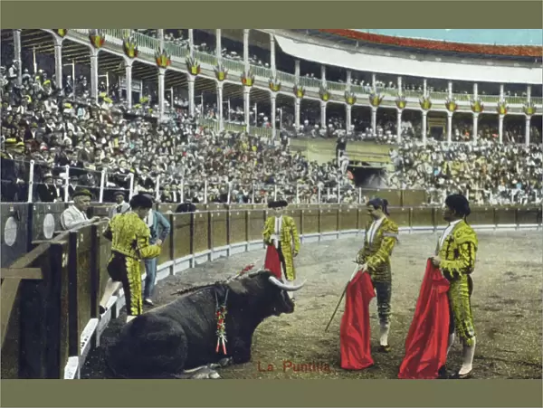 Spanish Bullfighting Series (10  /  12)