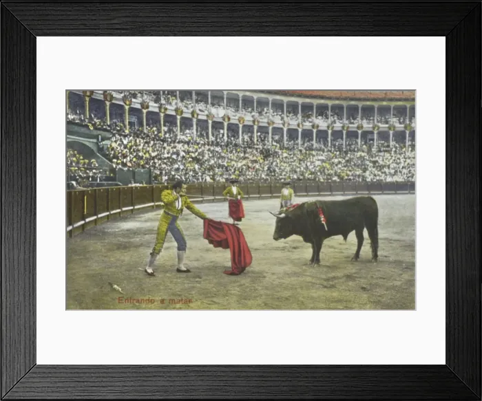 Framed Print : Spanish Bullfighting Series (8 / 12) Framed Print : Spanish Bullfighting Series (8 / 12)