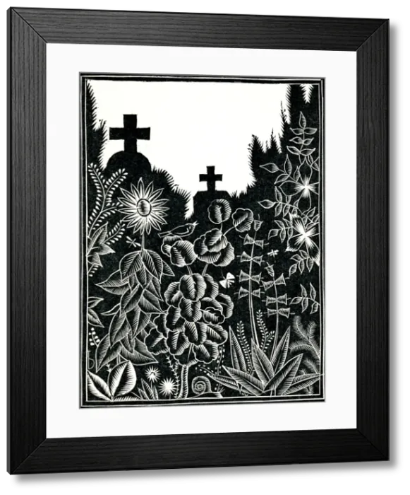 Framed Print : Peaceful scene in cemetery Framed Print : Peaceful scene in cemetery