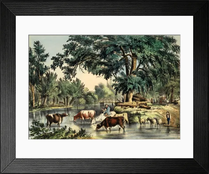 Framed Print : Fording the River with a cattle drive Framed Print : Fording the River with a cattle drive