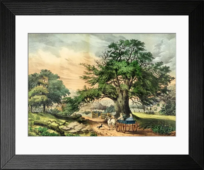 Framed Print : The Drive through the Highlands Framed Print : The Drive through the Highlands