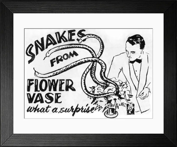 Framed Print : Snakes From a Flower Vase Framed Print : Snakes From a Flower Vase