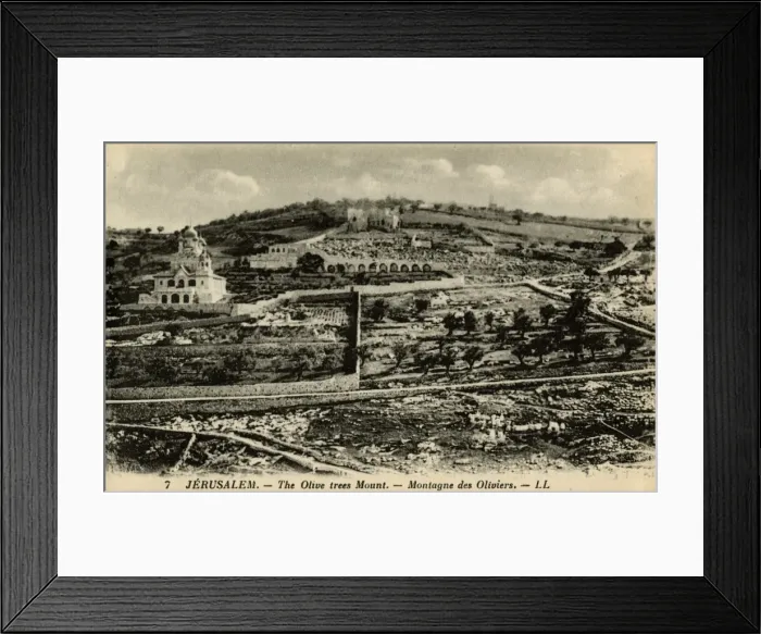 Framed Print : Mount of Olives, Jerusalem