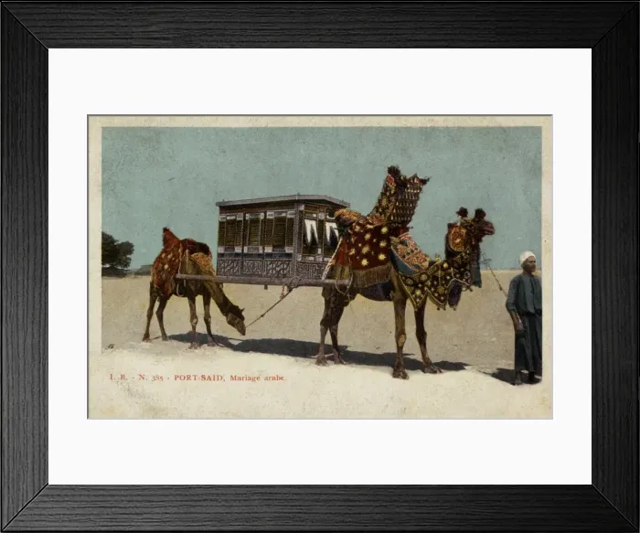 Framed Print : Arab wedding at Port Said, Egypt Framed Print : Arab wedding at Port Said, Egypt