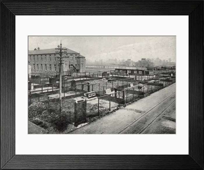 Framed Print : Joyce Green Hospital - Poultry runs - isolation blocks in di Framed Print : Joyce Green Hospital - Poultry runs - isolation blocks in di