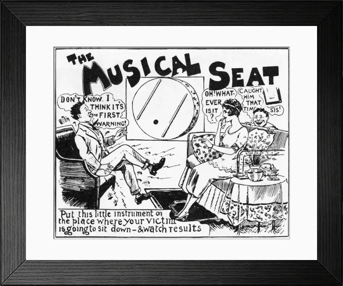 Framed Print : The Musical Seat Framed Print : The Musical Seat