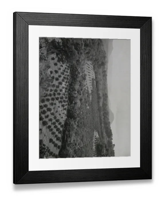Framed Print : View of hills and tree plantations, Dominica, West Indies Framed Print : View of hills and tree plantations, Dominica, West Indies