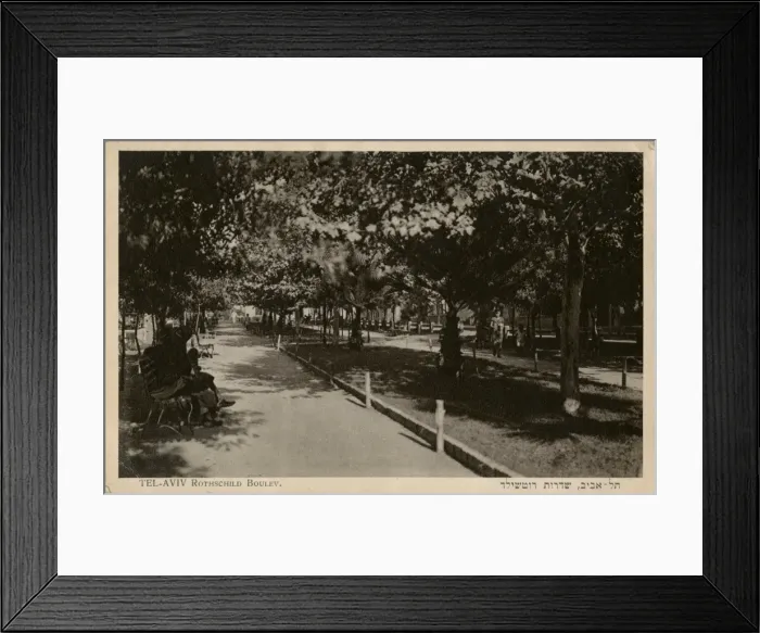 Framed Print : Rothschild Boulevard, Tel Aviv, Israel Framed Print : Rothschild Boulevard, Tel Aviv, Israel