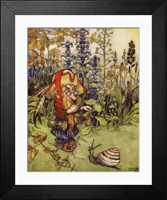 Framed Print : The Antiquary Framed Print : The Antiquary