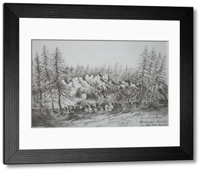 Framed Print : Rocks at Birchwood Plantation, Swithland, Leicestershire Framed Print : Rocks at Birchwood Plantation, Swithland, Leicestershire