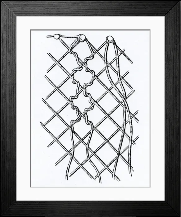 Framed Print : Pattern of Threads in Bobbin-net Lace Framed Print : Pattern of Threads in Bobbin-net Lace