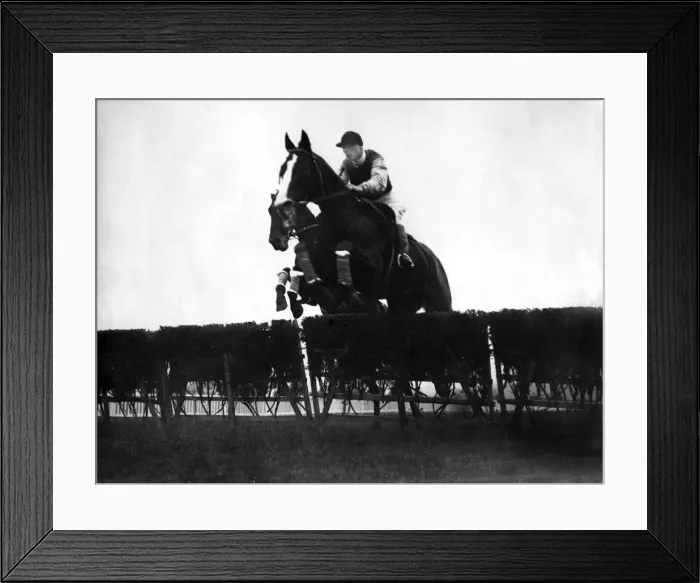 Framed Print : Cheltenham Races at Prestbury Park Framed Print : Cheltenham Races at Prestbury Park