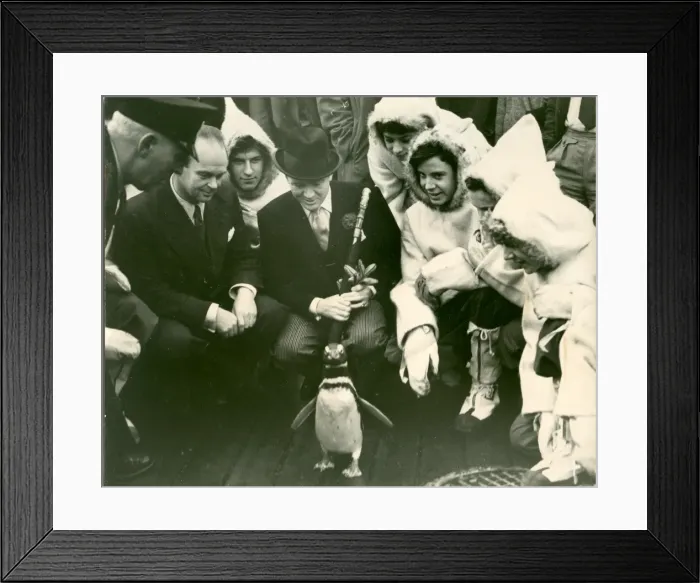 Framed Print : RSS Discovery exhibition with celebrities and penguin Framed Print : RSS Discovery exhibition with celebrities and penguin