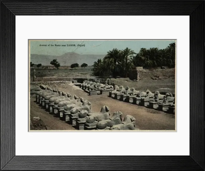 Framed Print : Avenue of ram-headed sphinxes, Temple of Amun, Egypt Framed Print : Avenue of ram-headed sphinxes, Temple of Amun, Egypt