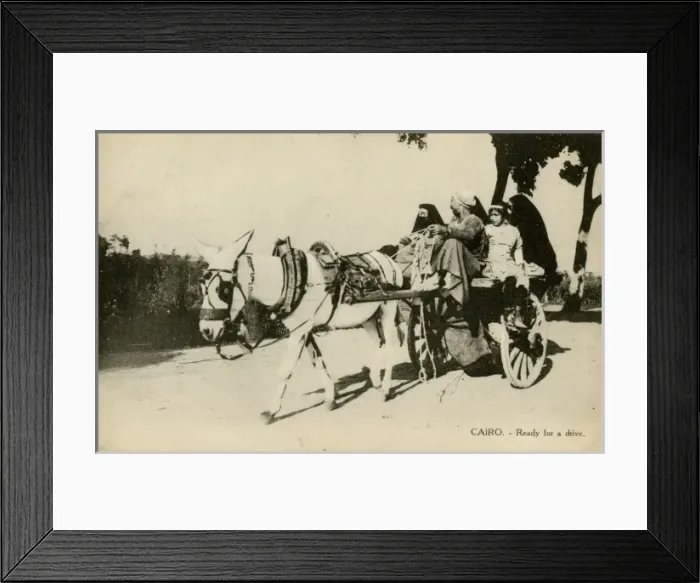 Framed Print : Native transport in Cairo, Egypt Framed Print : Native transport in Cairo, Egypt