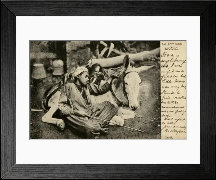 Framed Print : Arab boy with donkey, Egypt Framed Print : Arab boy with donkey, Egypt