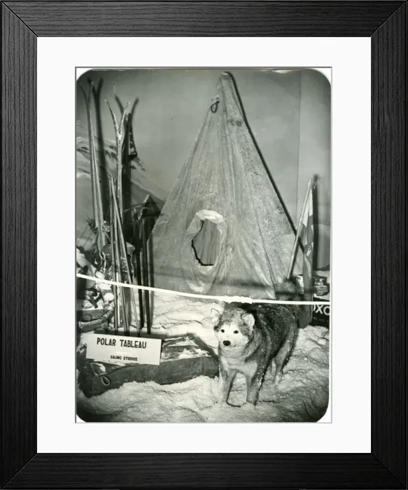 Framed Print : Polar tableau, RSS Discovery Exhibition Framed Print : Polar tableau, RSS Discovery Exhibition