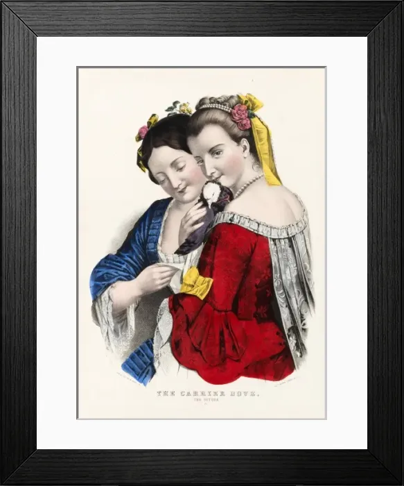 Framed Print : The Carrier Dove Framed Print : The Carrier Dove