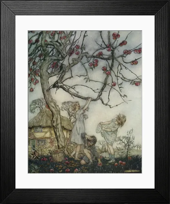 Framed Print : Children shaking apples off a tree Framed Print : Children shaking apples off a tree
