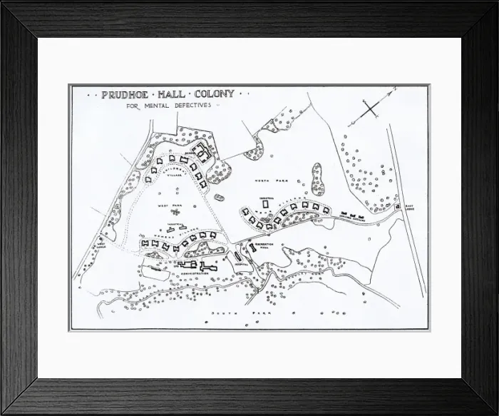 Framed Print : Prudhoe Colony for Mental Defectives - Colony Layout Pl Framed Print : Prudhoe Colony for Mental Defectives - Colony Layout Pl