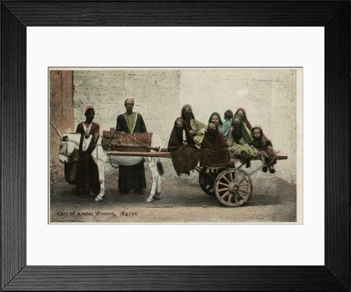 Framed Print : Native transport in Egypt Framed Print : Native transport in Egypt