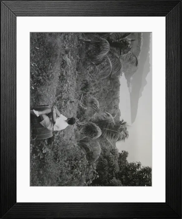 Framed Print : Scout leader near coast, Dominica, West Indies Framed Print : Scout leader near coast, Dominica, West Indies
