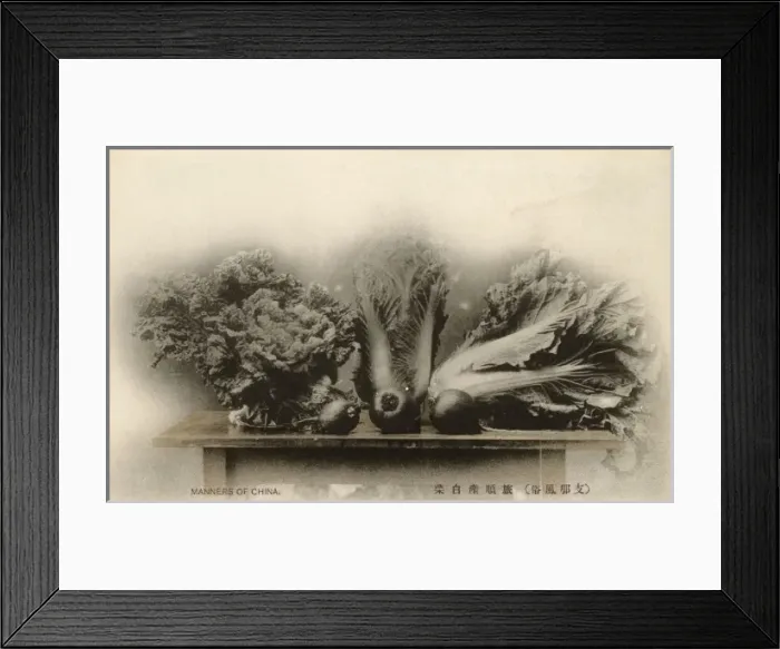 Framed Print : Port Arthur - Varieties of Chinese Vegetables Framed Print : Port Arthur - Varieties of Chinese Vegetables