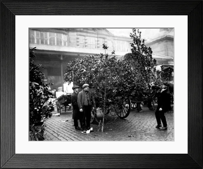 Framed Print : Christmas decorations in Covent Garden, London Framed Print : Christmas decorations in Covent Garden, London