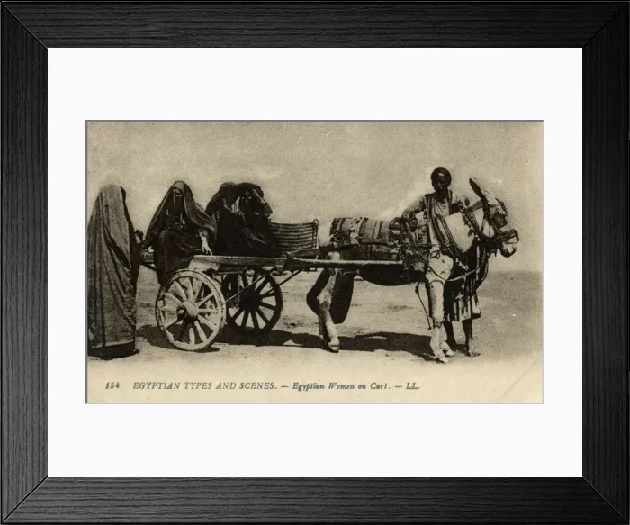 Framed Print : Native transport in Egypt Framed Print : Native transport in Egypt
