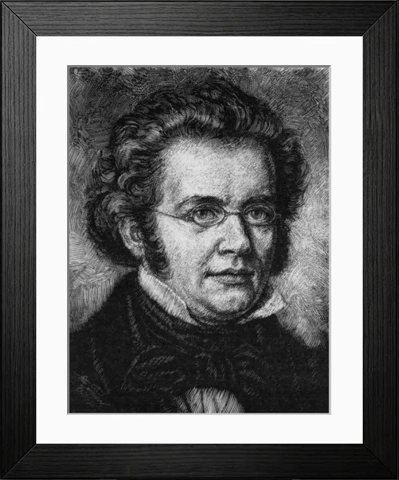 Framed Print : Franz Schubert Framed Print : Franz Schubert