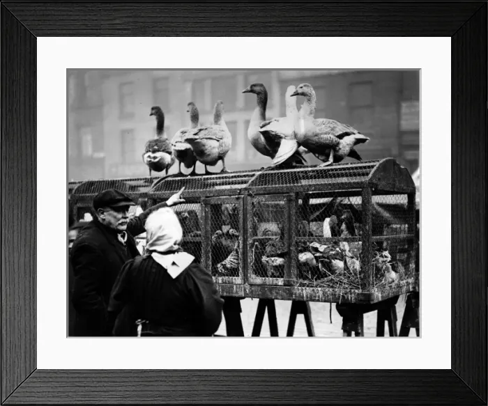 Framed Print : Choosing Christmas dinner, Manchester