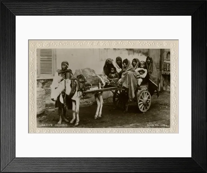 Framed Print : Native transport in Egypt Framed Print : Native transport in Egypt