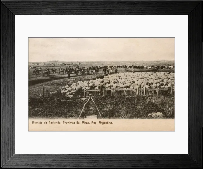 Framed Print : Auction of an Argentinian Estate, Buenos Aires, Argentina Framed Print : Auction of an Argentinian Estate, Buenos Aires, Argentina