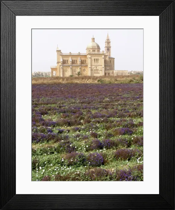 Framed Print : Flower field, Ta Pinu National Shrine Framed Print : Flower field, Ta Pinu National Shrine