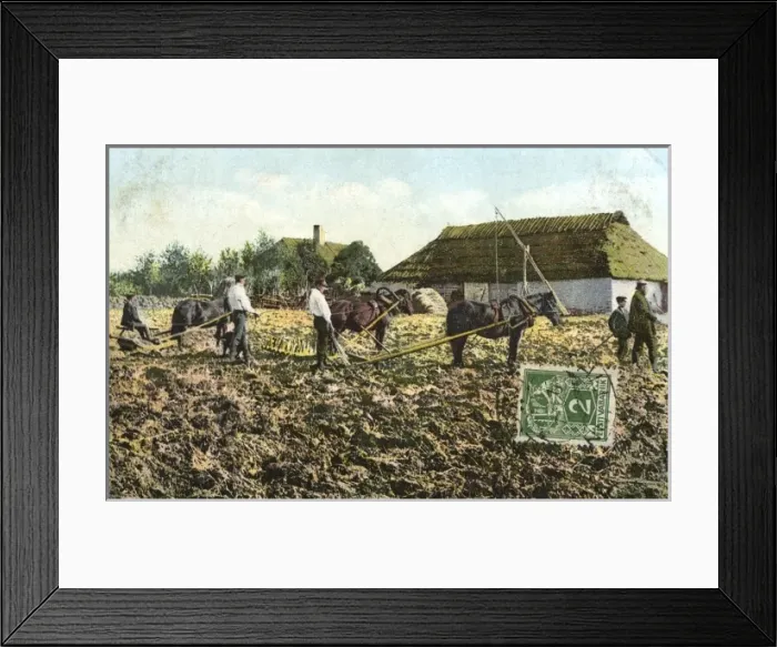 Framed Print : Estonia - Agricultural Scene Framed Print : Estonia - Agricultural Scene
