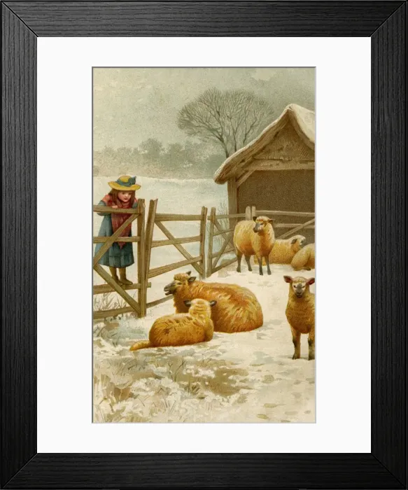 Framed Print : Girl watching sheep Framed Print : Girl watching sheep