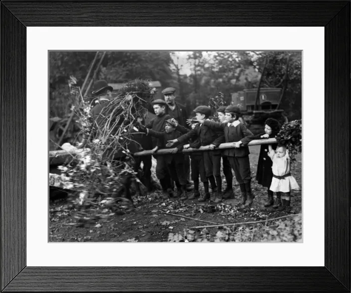 Framed Print : Small boys clamouring for free plants and shrubs Framed Print : Small boys clamouring for free plants and shrubs