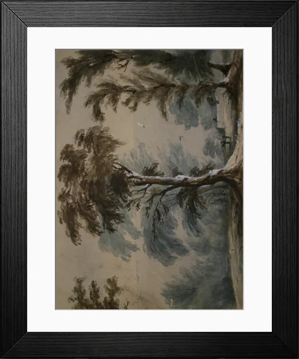 Framed Print : Trees at St Donats, Glamorgan, Wales Framed Print : Trees at St Donats, Glamorgan, Wales