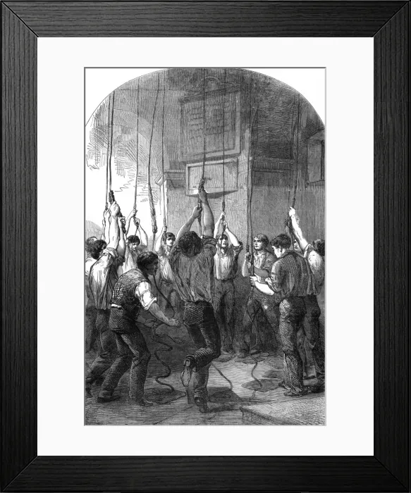 Framed Print : The Peace Celebrations, 1856 Framed Print : The Peace Celebrations, 1856