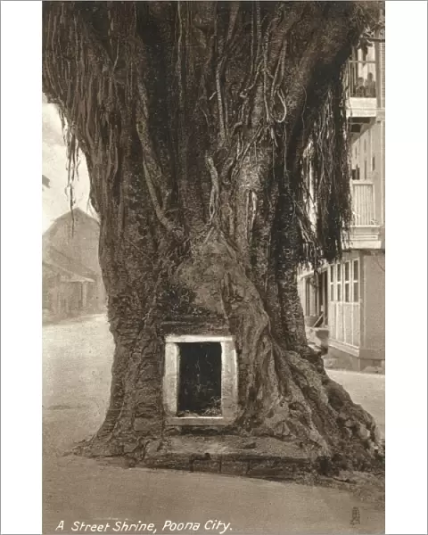 Street Shrine in the base of a tree trunk - Pune, India
