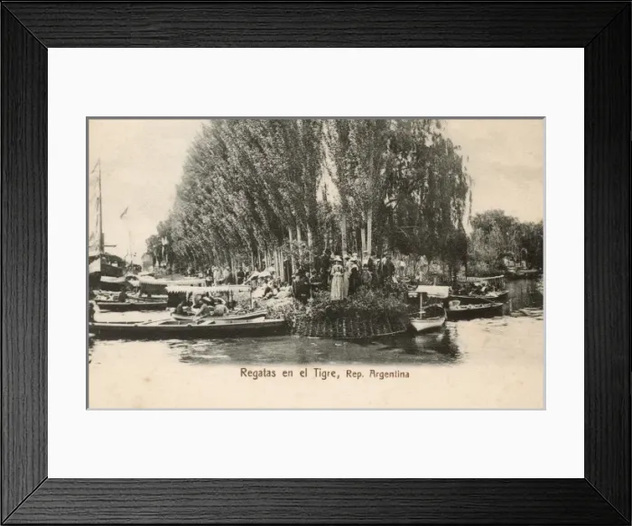 Framed Print : Regatta on the banks of the Lujan River, Tigre, Argentina Framed Print : Regatta on the banks of the Lujan River, Tigre, Argentina