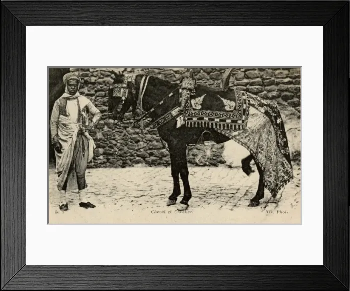 Framed Print : Arab man and his horse Framed Print : Arab man and his horse
