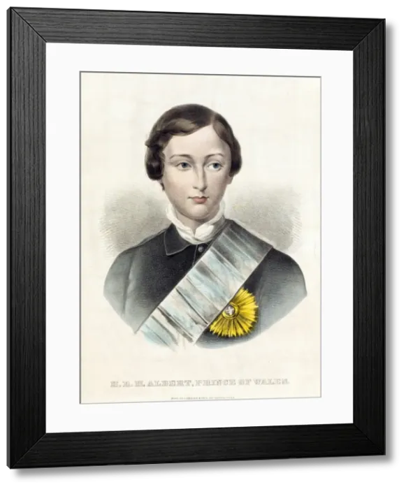 Framed Print : Albert, Prince of Wales later King Edward VII Framed Print : Albert, Prince of Wales later King Edward VII