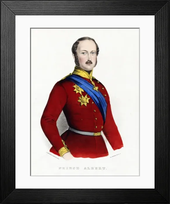 Framed Print : Albert, Prince of Wales later King Edward VII Framed Print : Albert, Prince of Wales later King Edward VII