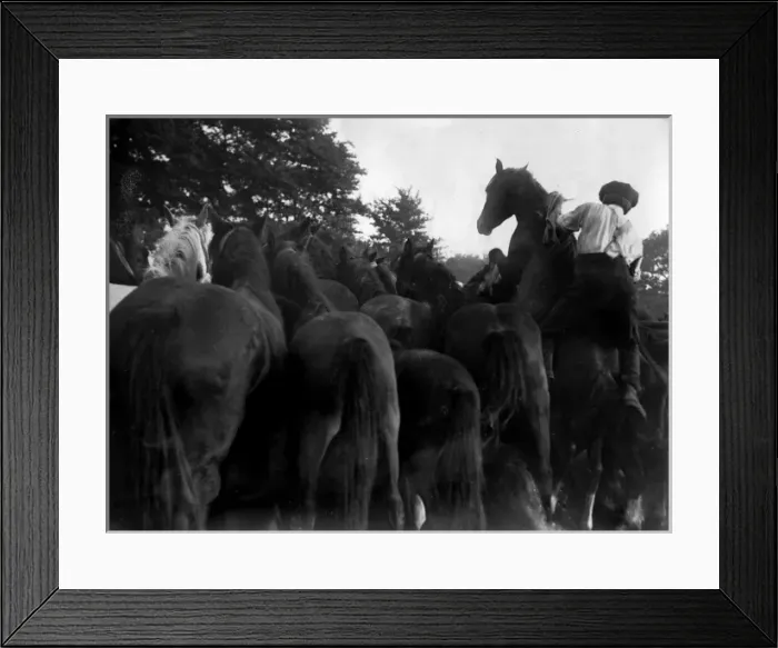 Framed Print : Scene at Barnet Horse Fair, North London Framed Print : Scene at Barnet Horse Fair, North London